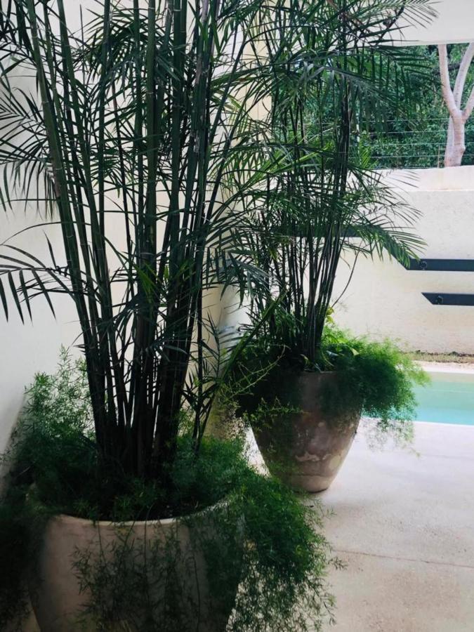 Ferienwohnung Casa Leo Tulum Exterior foto